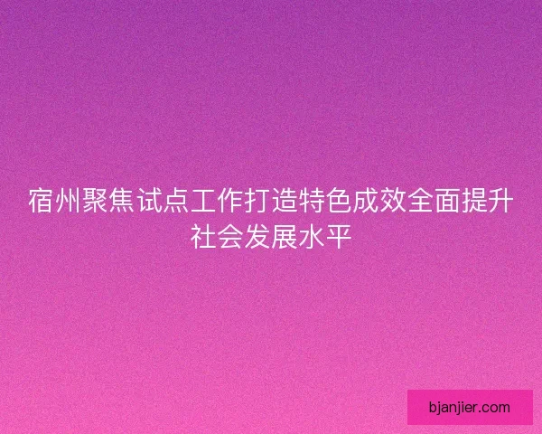 宿州聚焦试点工作打造特色成效全面提升社会发展水平 宿州聚焦试点工作打造特色成效全面提升社会发展水平